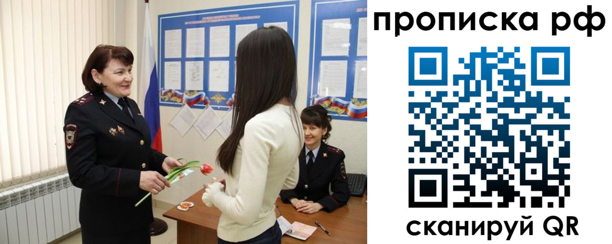 прописка поиск в Вольске